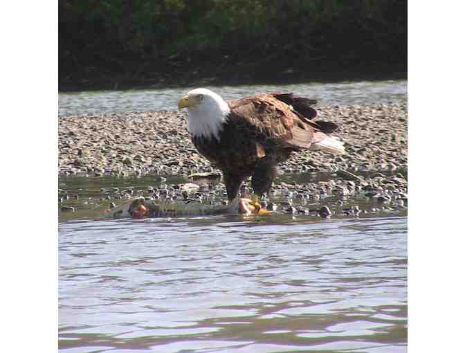 4 - Hour Estuary Park and Paddle for 2 people : Jenner, CA