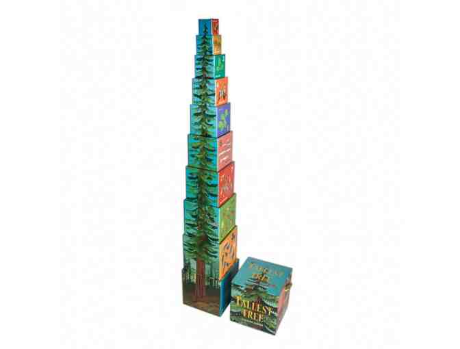 Spark their curiosity: Tallest Tree Stacking Blocks + Tallest Tree Growth Chart