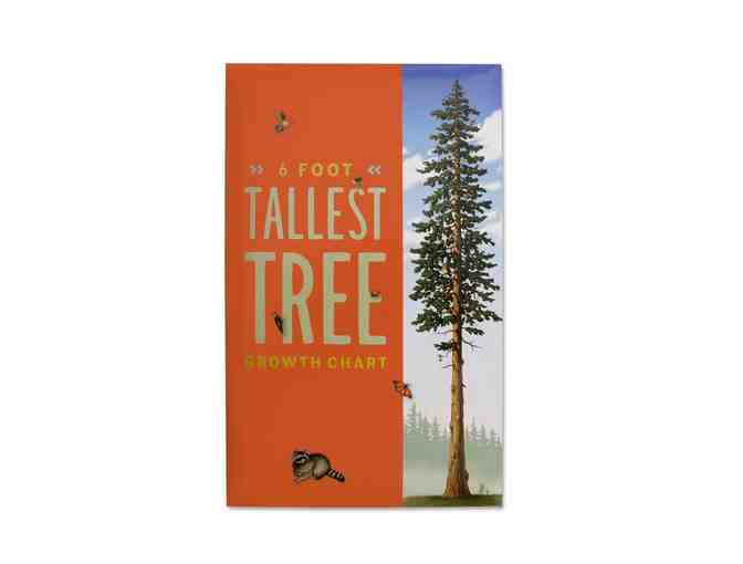 Spark their curiosity: Tallest Tree Stacking Blocks + Tallest Tree Growth Chart