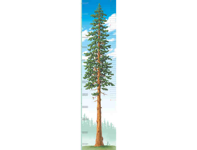 Spark their curiosity: Tallest Tree Stacking Blocks + Tallest Tree Growth Chart