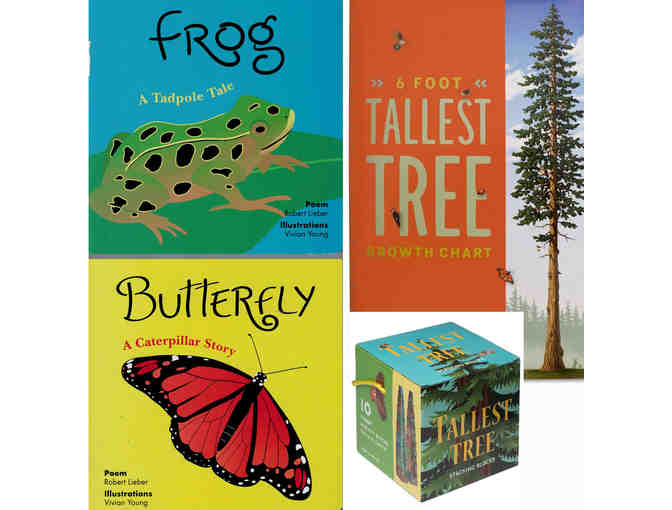 Baby Bonanza! Frog and Butterfly book + Tallest Tree Blocks + Tallest Tree Chart