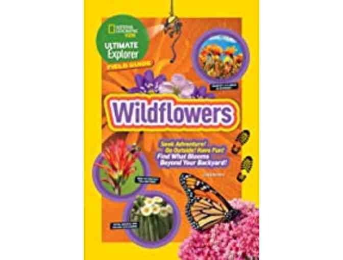 National Geographic's Beginning Naturalist 5 Pack of Books