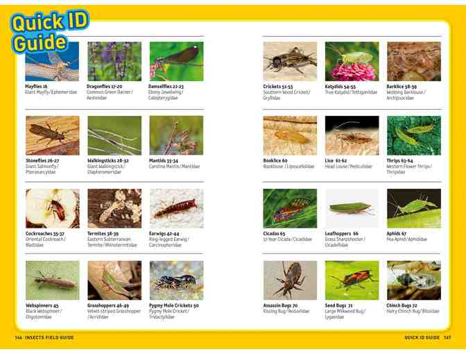 National Geographic's Beginning Naturalist 5 Pack of Books