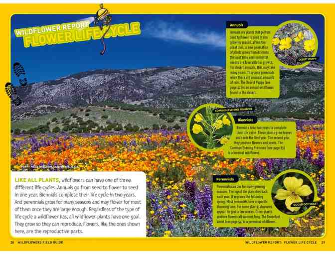 National Geographic's Beginning Naturalist 5 Pack of Books