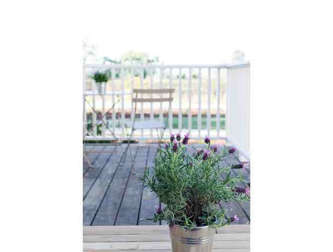 Farmhouse Luxury in Napa Vineyards for 2