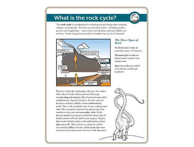 Education Activities Pack! Learn while having fun!