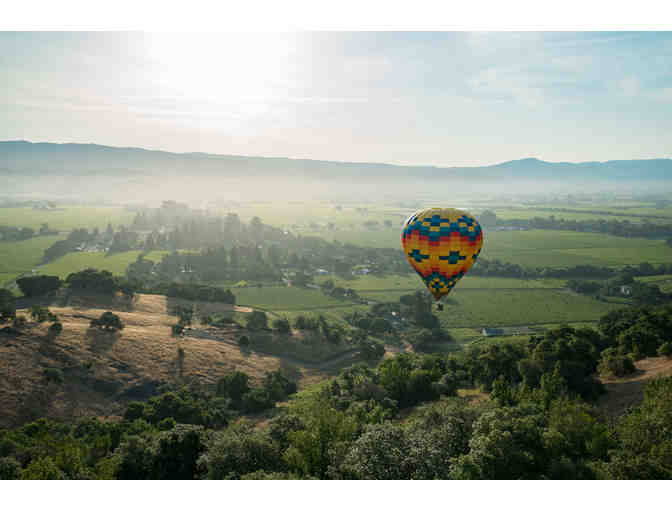 Sip and Soar Through Napa Valley