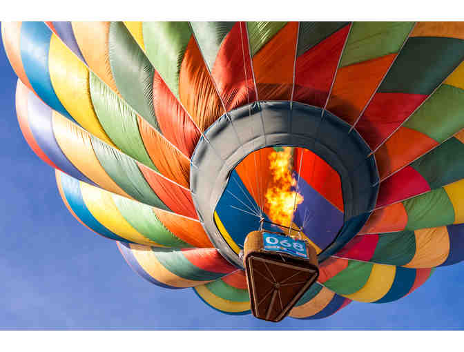 Sip and Soar Through Napa Valley