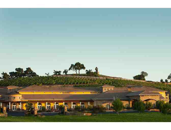 Sip and Soar Through Napa Valley