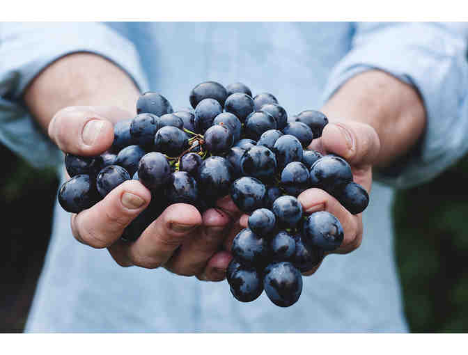 Napa Valley Backroads & Railways Wine Train