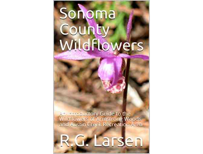 Santa Sack #2 BUTTERFLIES AND FLOWERS