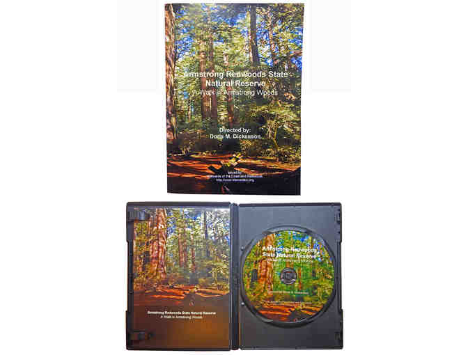 Videos: Three Videos filmed in Armstrong Redwoods SNR