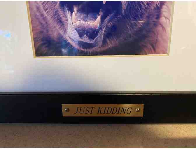 Three Bears - Just Kidding