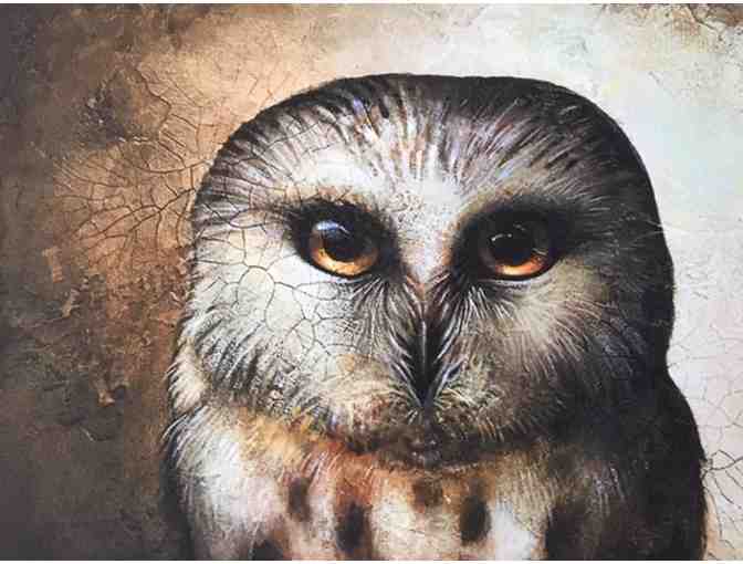 ' Saw Whet Owl' Giclee Print from Original Art -Signed by artist Stacy Schuett