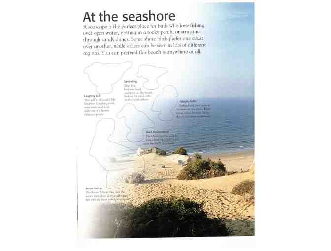 The Ultimate North American Bird Sticker Book by Elizabeth Hester