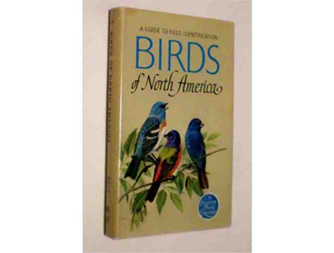 Vintage Illustrated Nature books: Our Earth; The Sea; Birds of North America