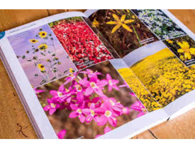 California Plants: A guide to our Iconic Flora by Matt Ritter