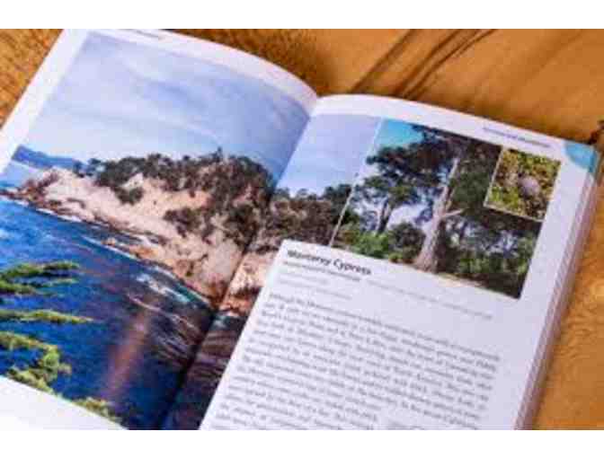 California Plants: A guide to our Iconic Flora by Matt Ritter