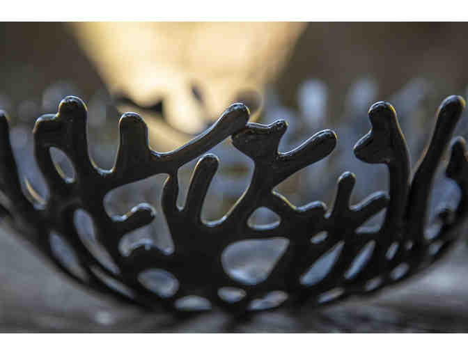 Bowl 'Black Coral' display by Branka Harris