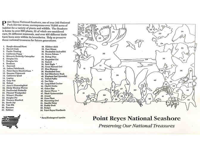 Art: Point Reyes National Seashore Bird and Animal Poster - signed by artist Molly Eckler