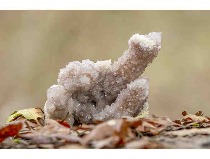 Collectable: Quartz from Starton Family Crystals