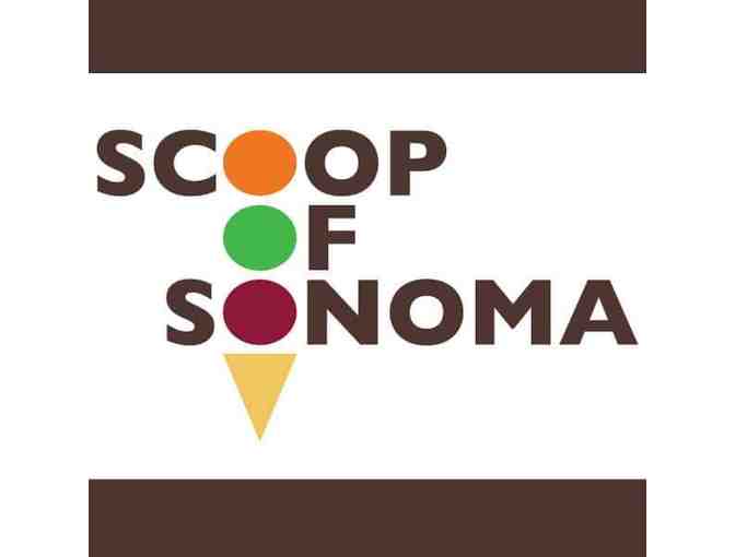 $20 Gift Certificate for Scoop Ice Cream in Monte Rio CA