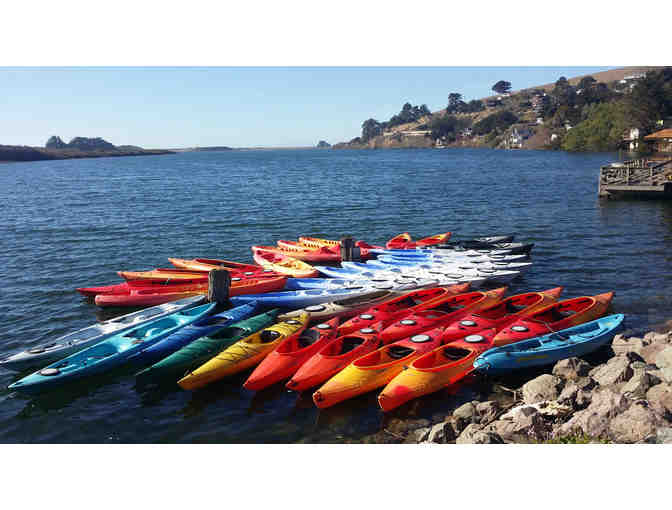 3 hour PRIVATE tour for 3! WaterTreks Kayak trip in Jenner