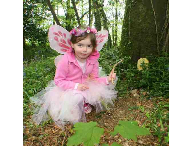 Fairy trek for four children! Find fairy treasure, and meet the forest fairy queen!
