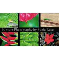 Nature Photography by Suzie Rose