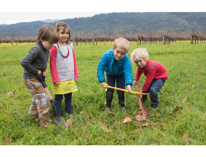 Rutherford Dust Wine Collection