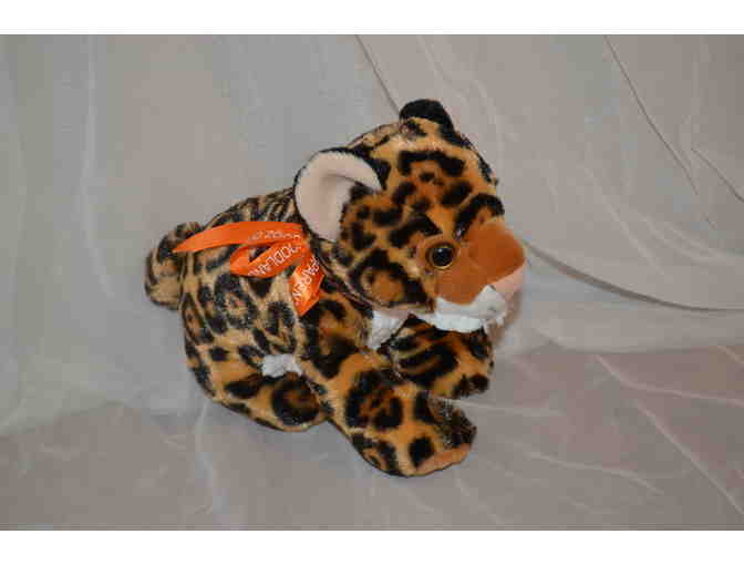 Woodland Park Zoo Parent Adoption-Orangutan