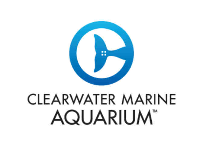 4 Tickets to the Clearwater Marine Aquarium