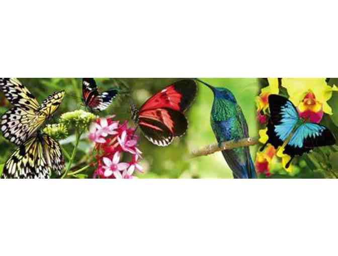 2 Tickets to Butterfly World, Flamingo Gardens PLUS Dinner for 2 at 4 Rivers Smokehouse