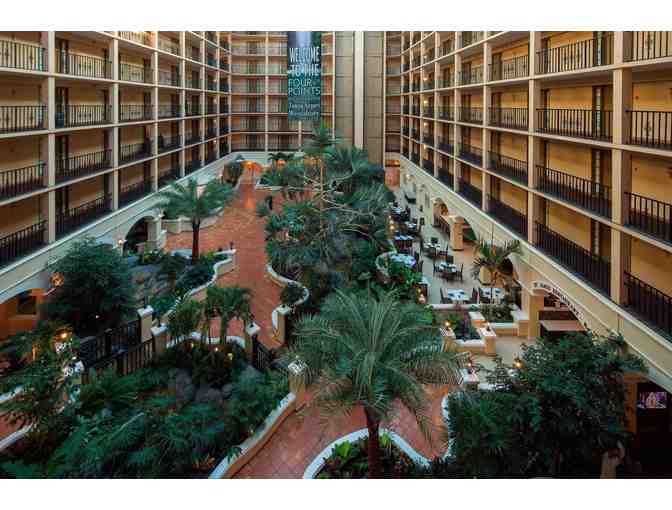 3 Days / 2 Nights in a Suite at the Four Points by Sheraton Tampa including Breakfast