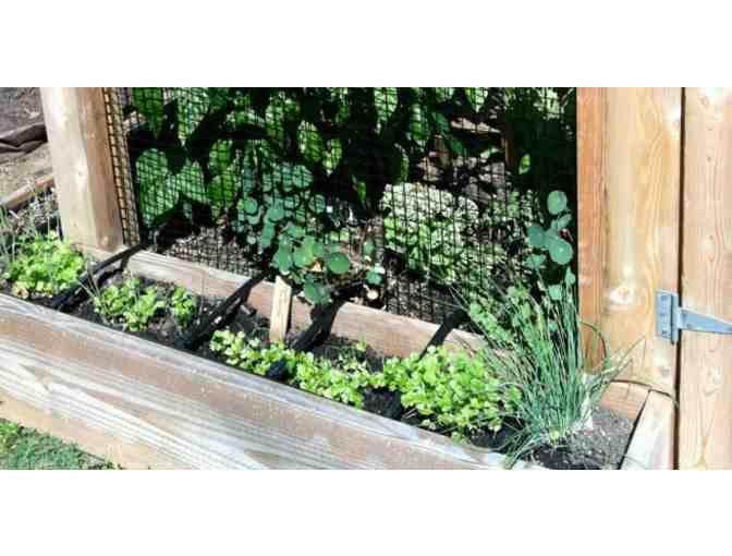 Homefront Farmers -Organic Edible Garden