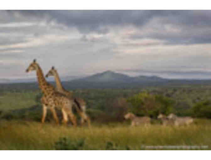 South African PHOTO Safari for two at Zulu Nyala (South Africa)