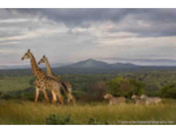 PHOTO Safari for two (KWAZULU - NATAL, SOUTH AFRICA) - Photo 1