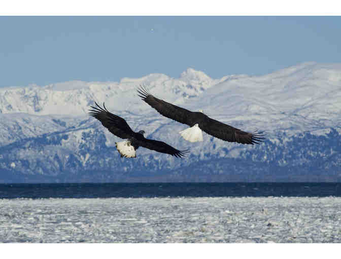 Alaska's Majestic Frontier, Alaska-->Cruise  for two for seven nights - Photo 6