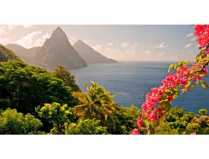 Morgan Bay Beach Resort (St. Lucia): 7-10 nights lux. rooms. (up to 3 rooms) (Code: 1221)