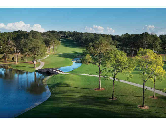 Perfect your Back Swing (FL): Four Days for 2 Resort Club Suite+ Two rounds of golf+Lesson