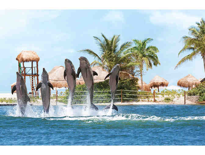 All-Inclusive Family Fiesta (Cancun) >5 Days for two adults and two children at Hyatt