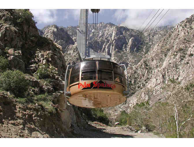Cosmopolitan Desert Playground, Palm Springs&gt;3 Days+taxes+Tramway+ Concierge - Photo 1