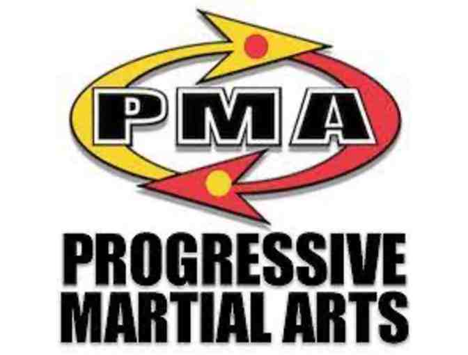 Progressive Martial Arts Pass