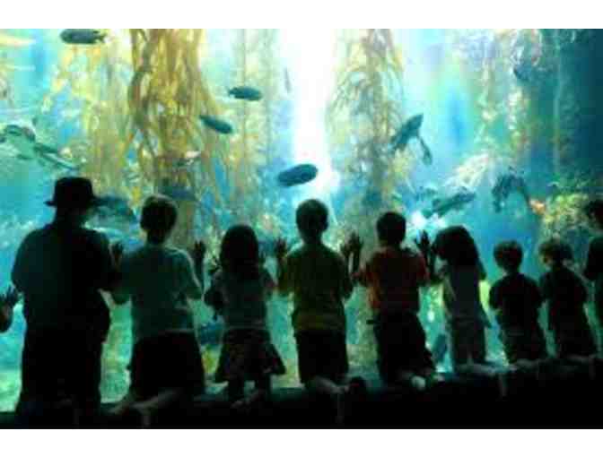 Birch Aquarium at Scripps VIP PASSES (4)