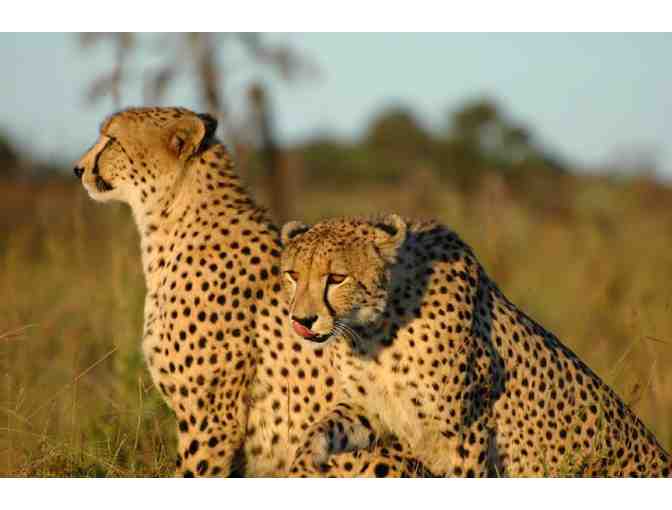 South African Photo Safari for two at Zulu Nyala #1