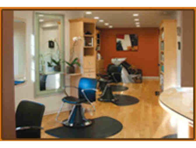 Gift Certificate for 5 haircuts at Antonio Hair Design
