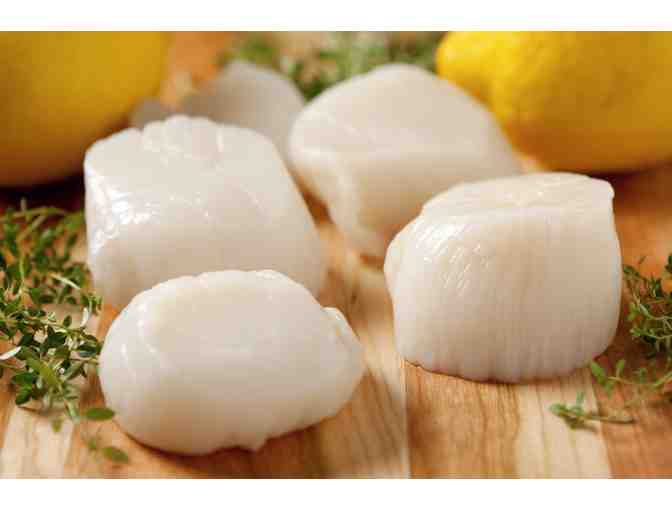 Bomster Scallops - 1 lb. Every Month for Six Months! - Photo 2