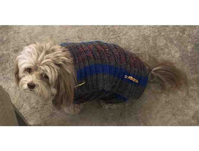 Adorable Hand Knitted Dog Sweater