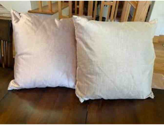 Pair of Velvet Throw Pillows