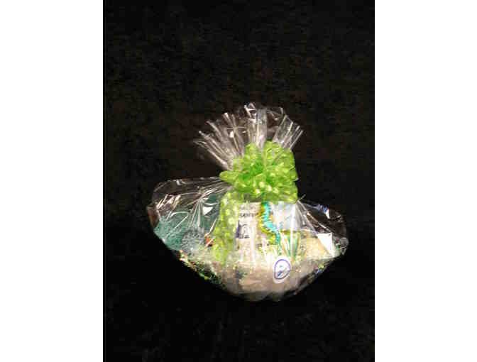 Fun from Ocean Adventure Dentist